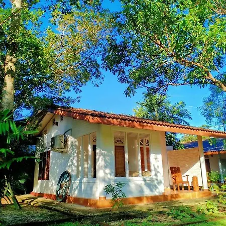 Mango House Japanese Guest House Negombo Exterior photo