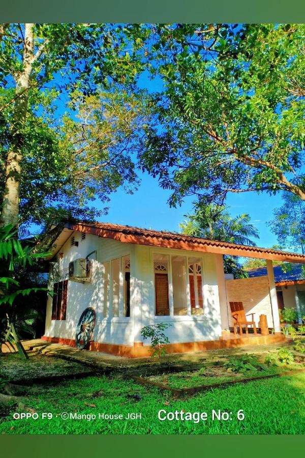 Mango House Japanese Guest house