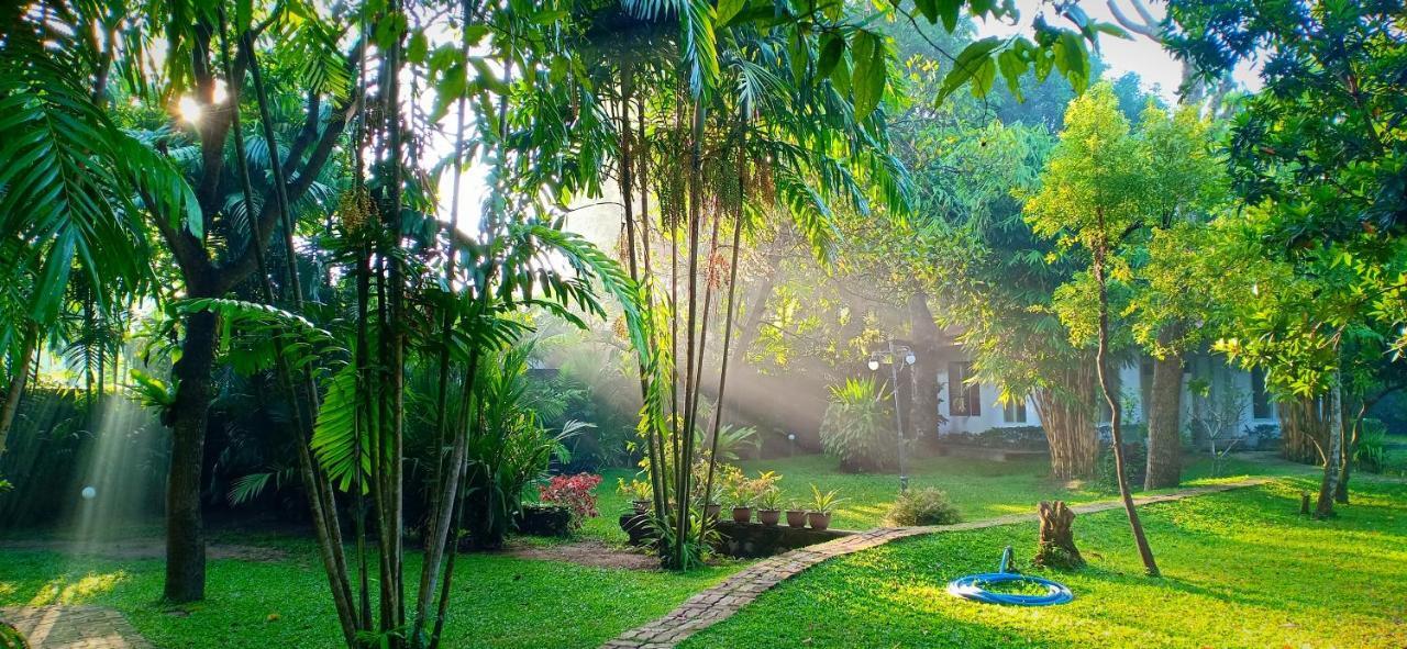 Guest house Mango House Japanese *