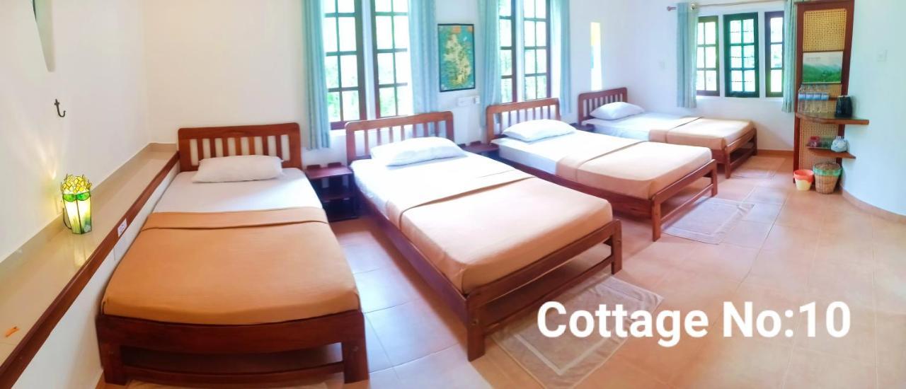 Guest house Mango House Japanese Negombo
